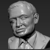 Stephen Hawking 3D printing ready stl obj - Thumbnail 5