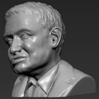 Stephen Hawking 3D printing ready stl obj - Thumbnail 7