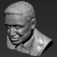 Stephen Hawking 3D printing ready stl obj - Thumbnail 11