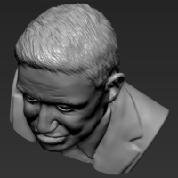 Stephen Hawking 3D printing ready stl obj - Thumbnail 12