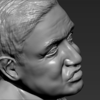 Stephen Hawking 3D printing ready stl obj - Thumbnail 13