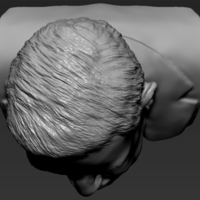 Stephen Hawking 3D printing ready stl obj - Thumbnail 14