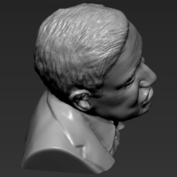 Stephen Hawking 3D printing ready stl obj - Thumbnail 15