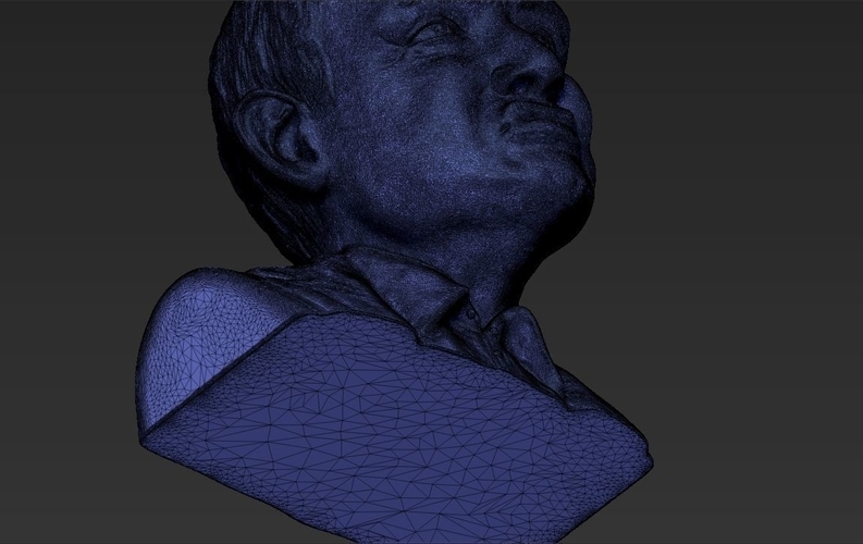 Stephen Hawking 3D printing ready stl obj 3D Print 230633