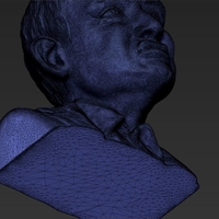 Stephen Hawking 3D printing ready stl obj - Thumbnail 17
