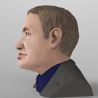 Stephen Hawking bust ready for full color 3D printing - Thumbnail 5