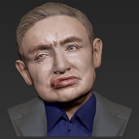 Stephen Hawking bust ready for full color 3D printing - Thumbnail 11
