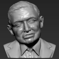Stephen Hawking bust ready for full color 3D printing - Thumbnail 13