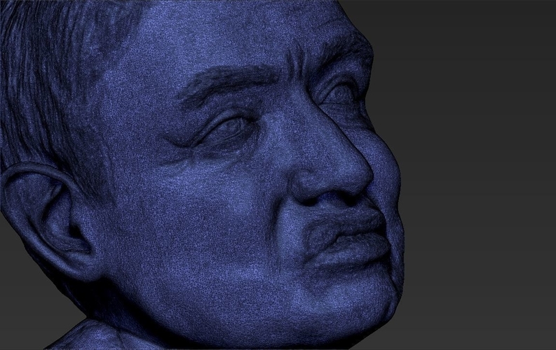 Stephen Hawking bust ready for full color 3D printing 3D Print 230657