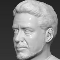 Tony Stark Robert Downey Jr Iron Man bust ready for 3D printing - Thumbnail 4