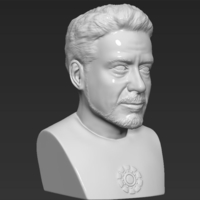 Tony Stark Robert Downey Jr Iron Man bust ready for 3D printing - Thumbnail 7