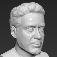 Tony Stark Robert Downey Jr Iron Man bust ready for 3D printing - Thumbnail 8