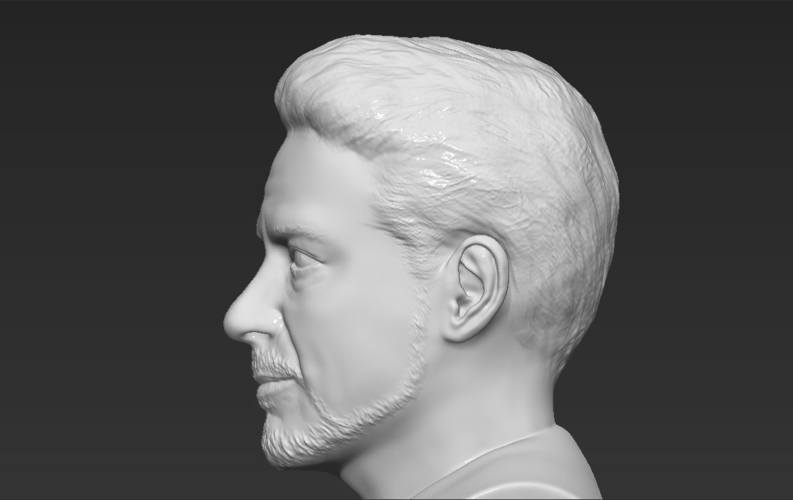 Tony Stark Robert Downey Jr Iron Man bust ready for 3D printing 3D Print 230748