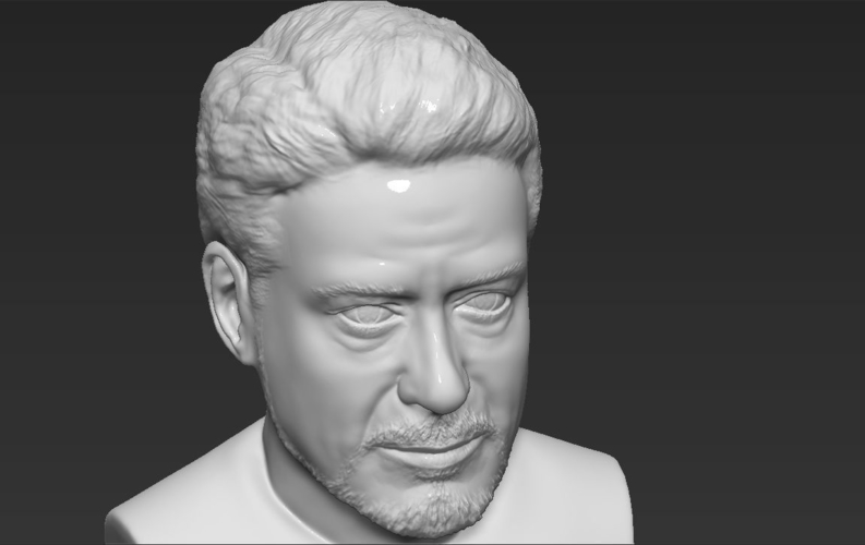 Tony Stark Robert Downey Jr Iron Man bust ready for 3D printing 3D Print 230749
