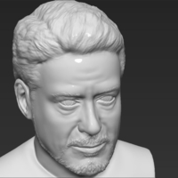 Tony Stark Robert Downey Jr Iron Man bust ready for 3D printing - Thumbnail 11
