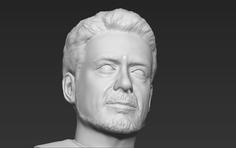 Tony Stark Robert Downey Jr Iron Man bust ready for 3D printing 3D Print 230750