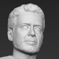 Tony Stark Robert Downey Jr Iron Man bust ready for 3D printing - Thumbnail 12