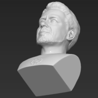 Tony Stark Robert Downey Jr Iron Man bust ready for 3D printing - Thumbnail 13