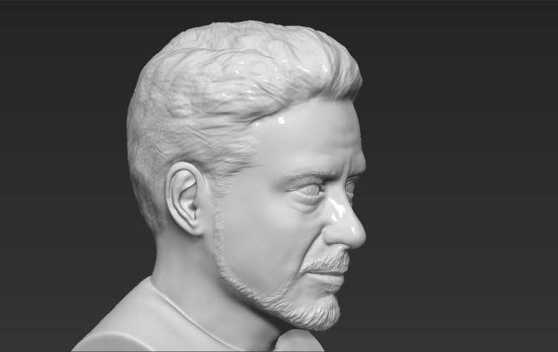 Tony Stark Robert Downey Jr Iron Man bust ready for 3D printing 3D Print 230752