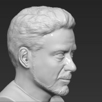 Tony Stark Robert Downey Jr Iron Man bust ready for 3D printing - Thumbnail 14