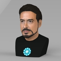 Tony Stark Downey Jr Iron Man bust full color 3D printing ready - Thumbnail 2