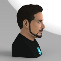 Tony Stark Downey Jr Iron Man bust full color 3D printing ready - Thumbnail 8