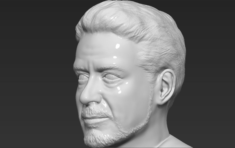 Tony Stark Downey Jr Iron Man bust full color 3D printing ready 3D Print 230770