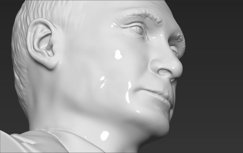Vladimir Putin bust 3D printing ready stl obj 3D Print 230998