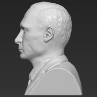 Vladimir Putin bust ready for full color 3D printing - Thumbnail 19