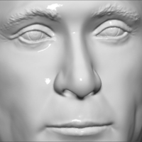 Vladimir Putin bust ready for full color 3D printing - Thumbnail 23