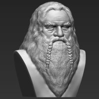 Gimli Lord of the Rings bust 3D printing ready stl obj - Thumbnail 2