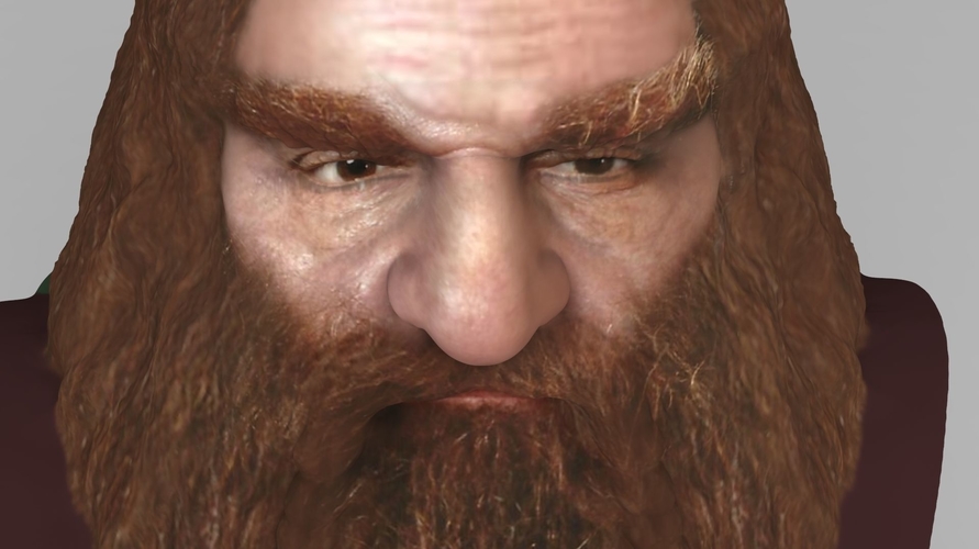 Gimli Lord of the Rings bust full color 3D printing ready 3D Print 231078
