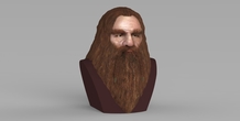 Image 231079