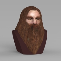 Gimli Lord of the Rings bust full color 3D printing ready - Thumbnail 3