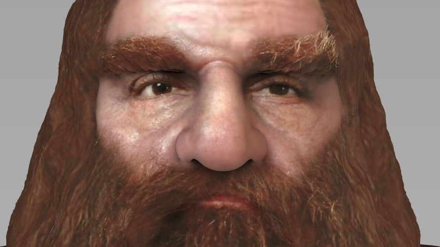 Gimli Lord of the Rings bust full color 3D printing ready 3D Print 231081