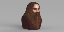 Image 231084