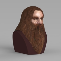 Gimli Lord of the Rings bust full color 3D printing ready - Thumbnail 8
