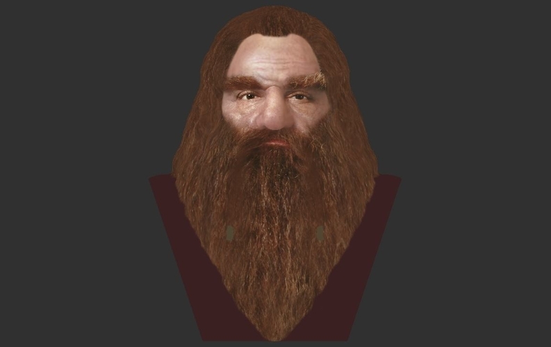 Gimli Lord of the Rings bust full color 3D printing ready 3D Print 231088