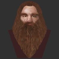 Gimli Lord of the Rings bust full color 3D printing ready - Thumbnail 12