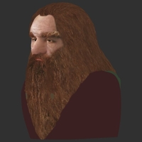 Gimli Lord of the Rings bust full color 3D printing ready - Thumbnail 13