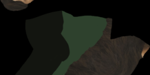 Image 231139