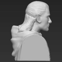 Legolas bust Lord of the Rings 3D printing ready stl obj - Thumbnail 11