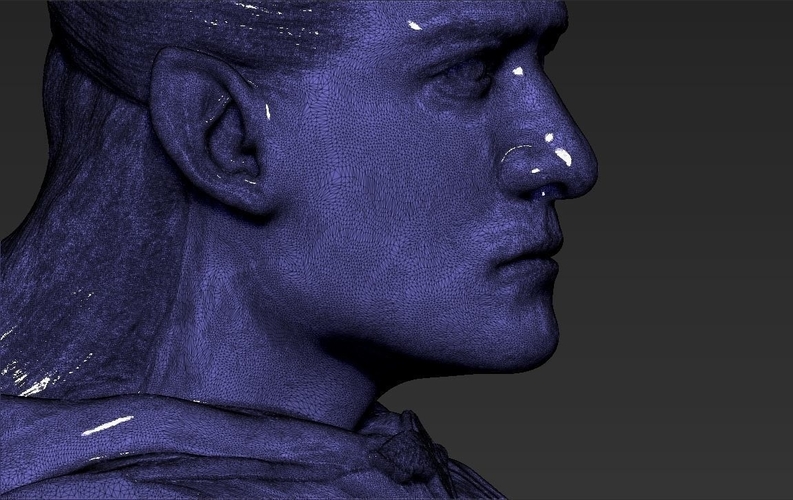 Legolas bust Lord of the Rings 3D printing ready stl obj 3D Print 231158