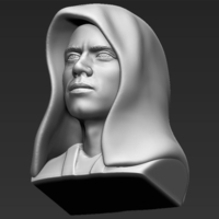 Anakin Skywalker Star Wars bust 3D printing ready stl obj - Thumbnail 8