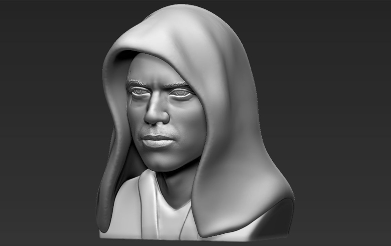 Anakin Skywalker Star Wars bust 3D printing ready stl obj 3D Print 231171
