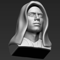 Anakin Skywalker Star Wars bust 3D printing ready stl obj - Thumbnail 15
