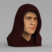 Anakin Skywalker Star Wars bust ready for full color 3D printing - Thumbnail 3