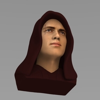 Anakin Skywalker Star Wars bust ready for full color 3D printing - Thumbnail 6