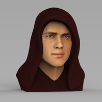 Anakin Skywalker Star Wars bust ready for full color 3D printing - Thumbnail 10