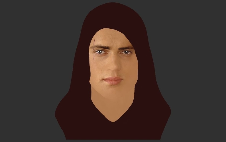 Anakin Skywalker Star Wars bust ready for full color 3D printing 3D Print 231210